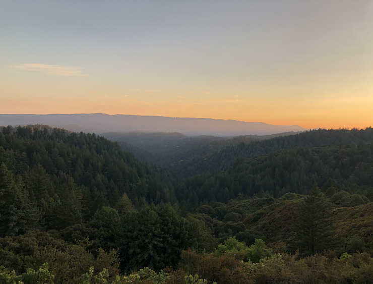 Deep in the Santa Cruz Mountains